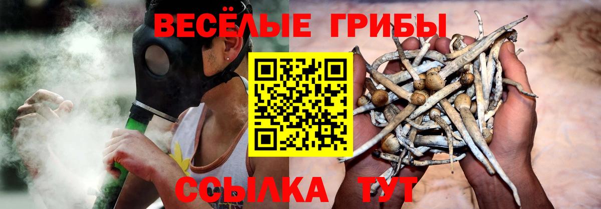 Елец  Псилоцибиновые грибы Cubensis  Вход с VPN  Галлюциногенные грибы Cubensis 