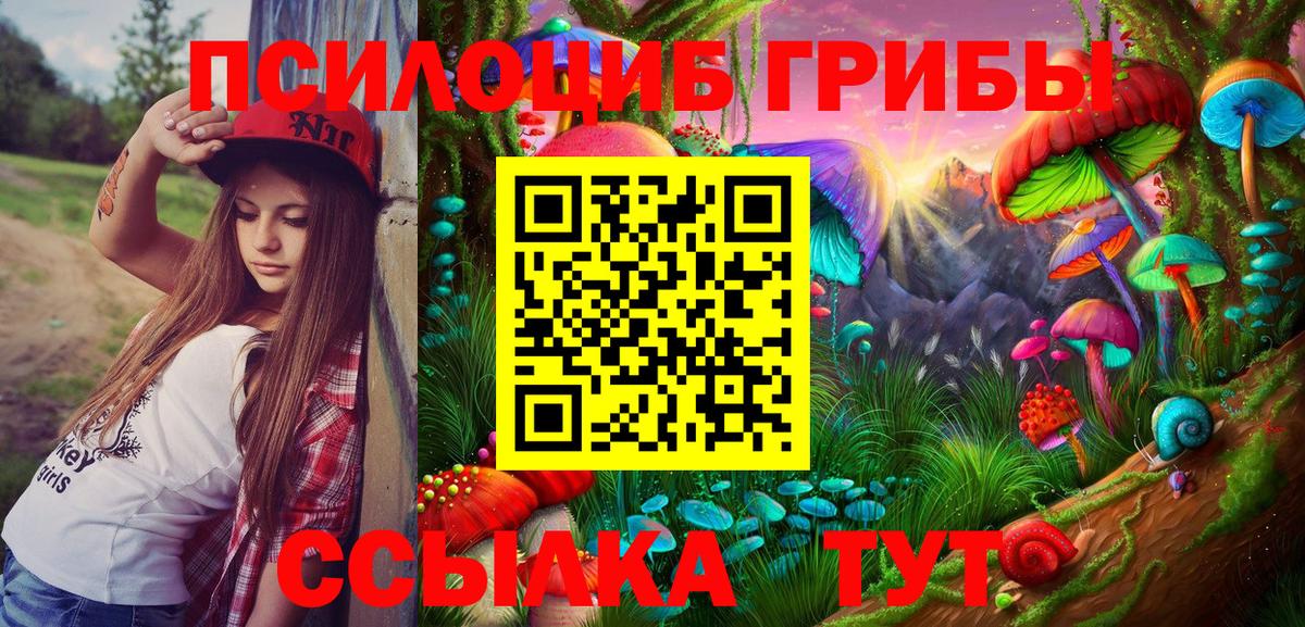 Галлюциногенные грибы Cubensis Елец